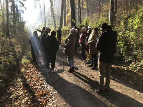 20241109 Wienerwald GenussWanderung (1j)