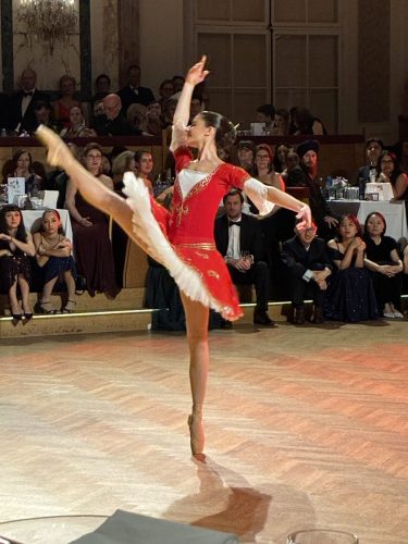 20260207-IAEA-Ball-007 (1)