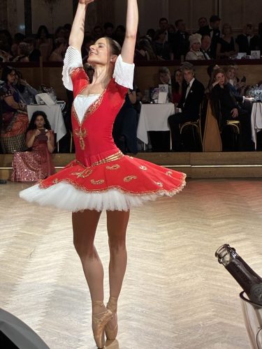 20260207-IAEA-Ball-008 (1)