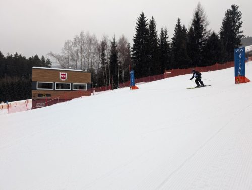 PXL 20260125 124820866